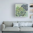 thumbnail image 2 of Trademark Fine Art 'Succulents I' Canvas Art by Wellington Studio, 2 of 4