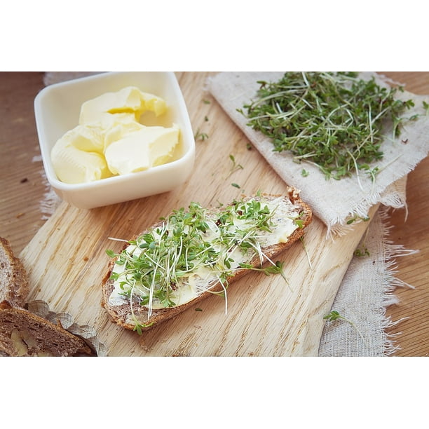 Canvas Print Green Bread Bread And Butter Cress Bread Cress Stretched Canvas 10 X 14 Walmart Com Walmart Com Canvas Print Green Bread Bread And Butter Cress Bread Cress Stretched Canvas 10 X 14 Walmart Com Walmart Com
