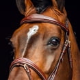 thumbnail image 4 of Horze Sion Bridle with Reins, 4 of 7