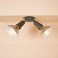 thumbnail image 6 of Cooper Lighting 2-Light Outdoor Spotlight, 6 of 8