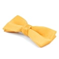 thumbnail image 3 of Boy's Poly Satin Banded Clip On Bow Ties (Gold), 3 of 7