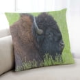 thumbnail image 1 of Ahgly Company Animals Bison Coussin d'Intérieur, 18 Pouces par 18 Pouces, 1 of 6