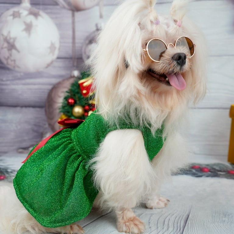 Small dog shop christmas outfit