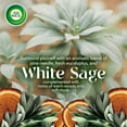 thumbnail image 4 of AIR WICK® Huile Parfumée - Kit - 1+1 Vibrant™ Sauge Blanche et Acajou, 4 of 7