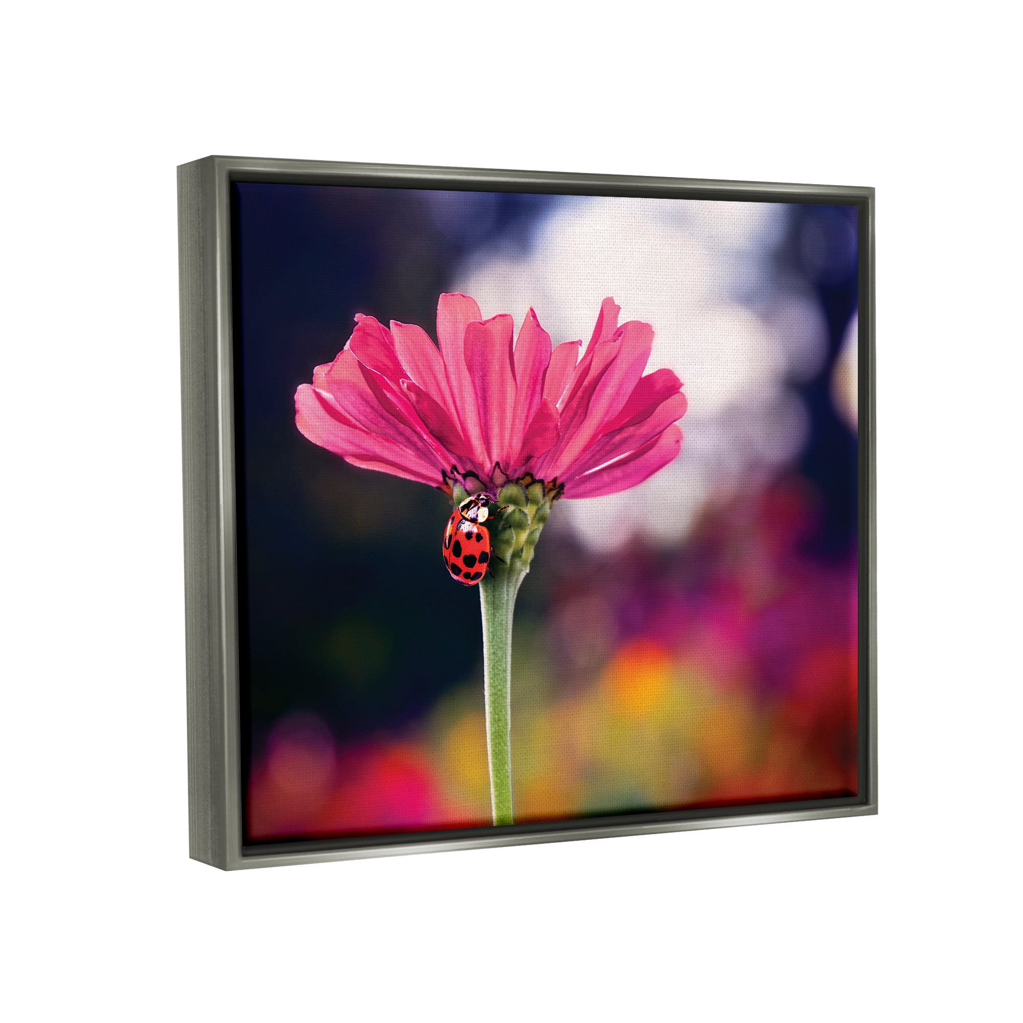 Stupell Industries Ladybug with Pink Flower Animals & Insects Photography Gray Floater Framed Art Print Wall Art, 21 x 17