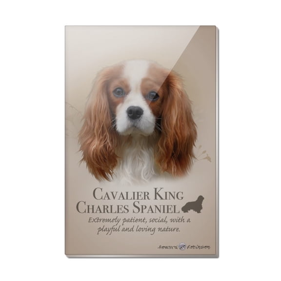 Cavalier King Charles Spaniel Dog Breed Rectangle Acrylic Fridge Refrigerator Magnet