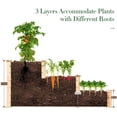 thumbnail image 5 of MAT EXPERT 3-Tier Raised Garden Bed, 49" x 49" x 22" Fir Wood Elevated Planter Box, Planting Box Kit for Growing Vegetable/Flower/Herb,  Display Container Rack for Backyard/Lawn/Balcony, 5 of 9