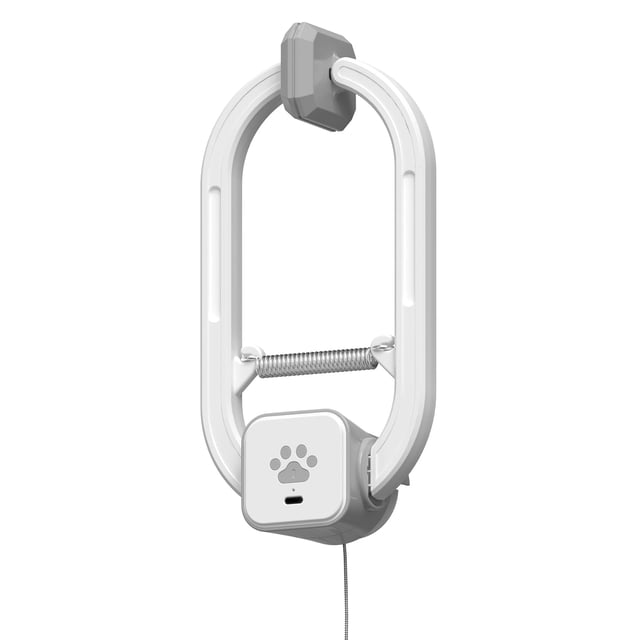 Electric Cat Teaser HAPPYCODE recargable con mando a distancia, color gris