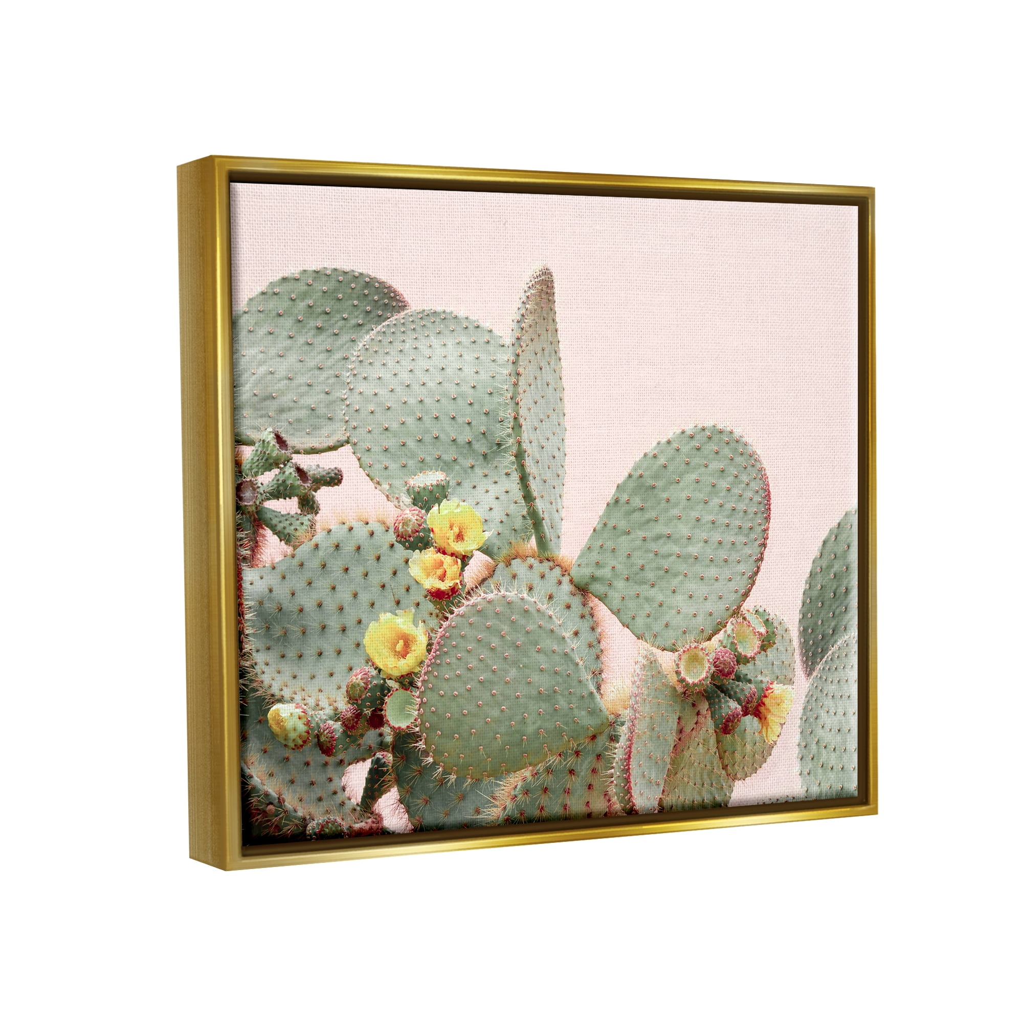 Stupell Industries Cactus Flowers on Pink Botanical & Floral Photography Gold Floater Framed Art Print Wall Art, 21 x 17