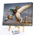thumbnail image 2 of Cuadros Decorativos Kit de pintura al óleo de pato salvaje en el lago por números DIY pintura acrílica sobre lienzo Sywqhk Nuevos Originales, 2 of 9