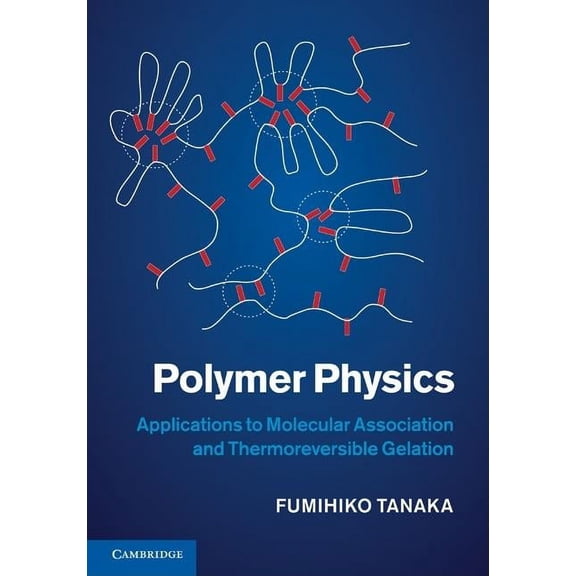 Polymer Physics