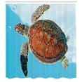 thumbnail image 3 of Ambesonne Turtle Shower Curtain, Sea Animal Caribbean, 69"Wx70"L, Turquoise Cinnamon, 3 of 3