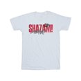 thumbnail image 1 of DC Comics T-Shirt Homme Shazam Fury Of The Gods Pride Distress, 1 of 1