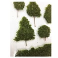 thumbnail image 4 of Recollections Realistic Tree Stickers, 12 Pack, 4 of 6