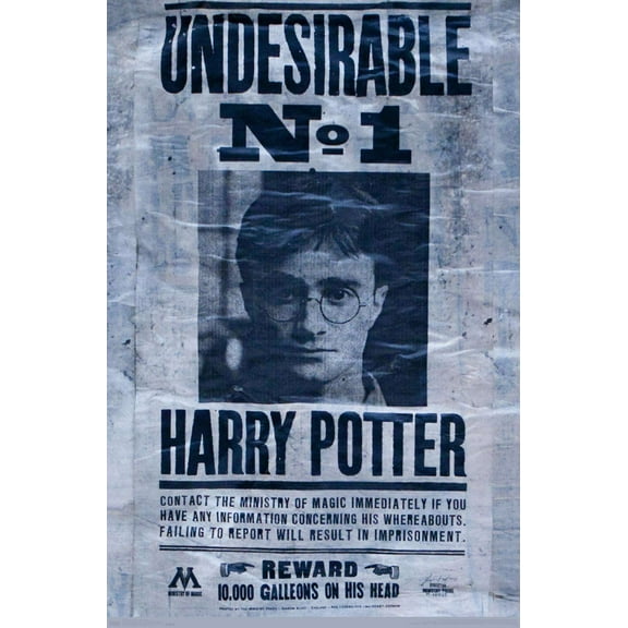 The Wizarding World: Harry Potter - Undesirable Wall Poster, 14.725" x 22.375"