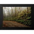 thumbnail image 2 of Head, Danny 14x11 Black Modern Framed Museum Art Print Titled - Rain Forest, 2 of 5