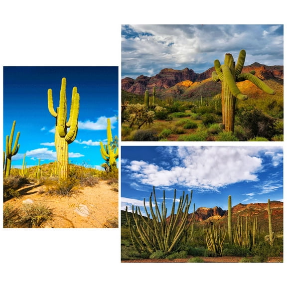 CACTUS - 3 Lenticular 3D Postcard Greeting Cards - Saguaro and Organ Pipe - Sonoran Desert