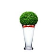 thumbnail image 6 of WGV Clear Tapered Floral Bouquet Vase - 5.5" Wide x 10" Height, Good quality, Heavy Weighted Base - 1 Pc, 6 of 7