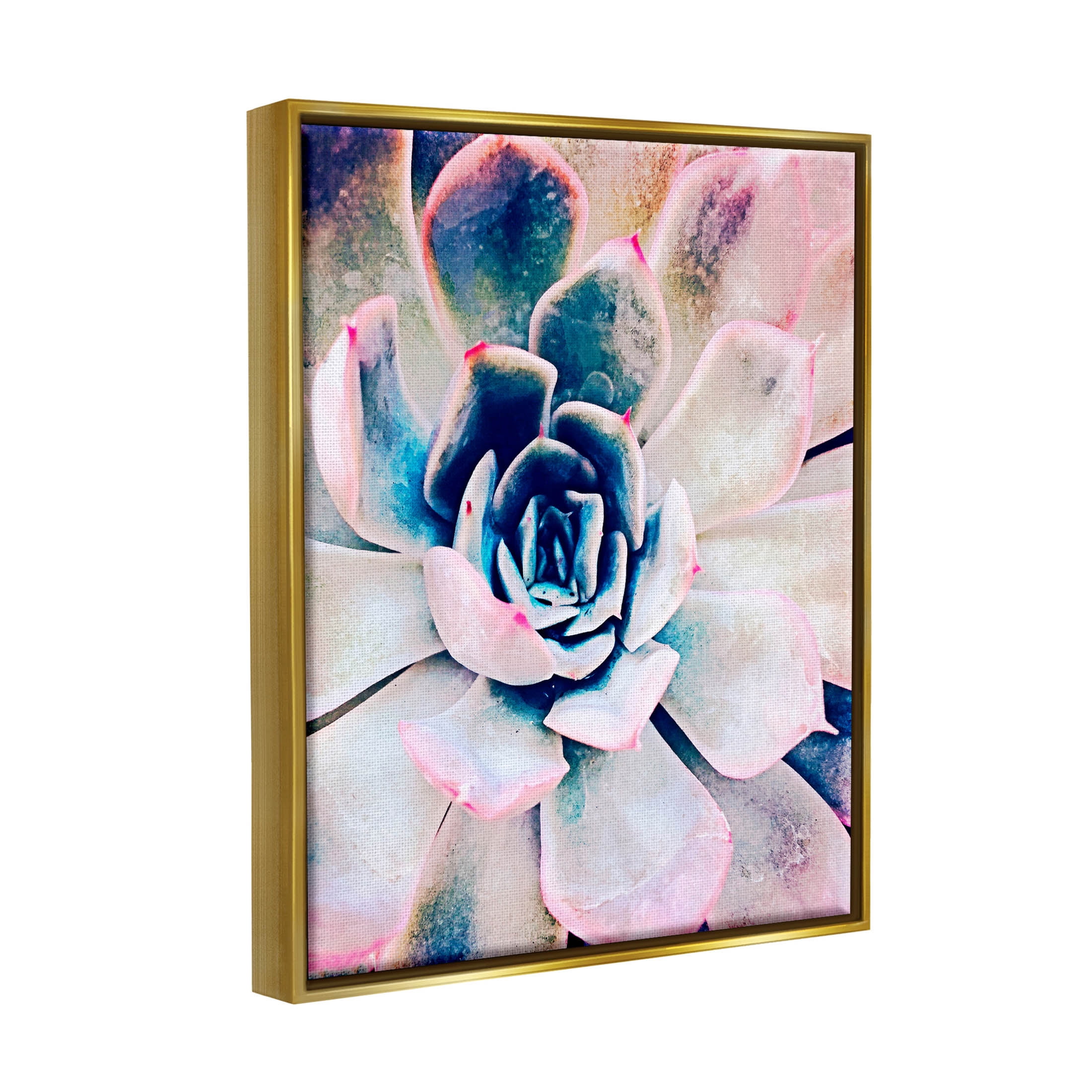 Modern Succulent Plant View Botanical & Floral Photograph Metallic Gold Framed Art Print Wall Art