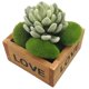 thumbnail image 3 of 40 piezas de rocas de musgo artificial piedras decorativas cubiertas de musgo verde Afortunado Sencillez, 3 of 5
