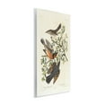 thumbnail image 4 of Stupell Industries Classic Audubon Bird Study Animals Painting Unframed Art Print Wall Art, 10 x 15, 4 of 8