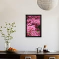 thumbnail image 3 of Blossoming Rhododendron, Rhododendron Norbitonense Aureum, Medium CloseUp, Botanical Framed Art Print Wall Art by Andreas Keil Sold by Art.Com, 3 of 5