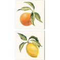 thumbnail image 1 of Great Art Now Le Orange & Le Citron on Cream by Silvia Vassileva 2 Piece Canvas Art Set Each 14W x 14H, 1 of 3
