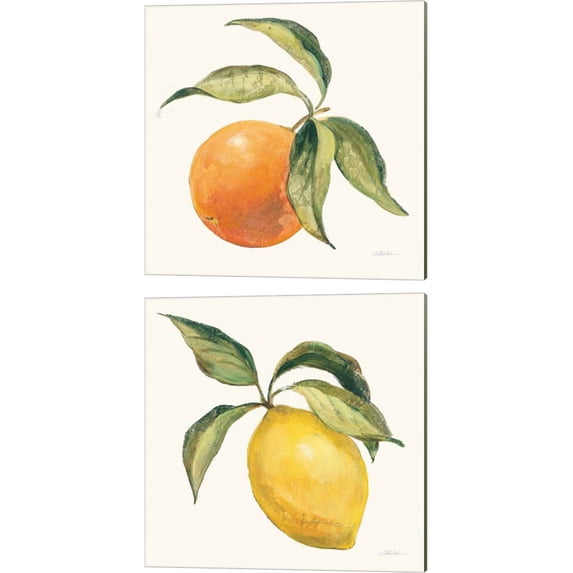 Great Art Now Le Orange & Le Citron on Cream by Silvia Vassileva 2 Piece Canvas Art Set Each 14W x 14H