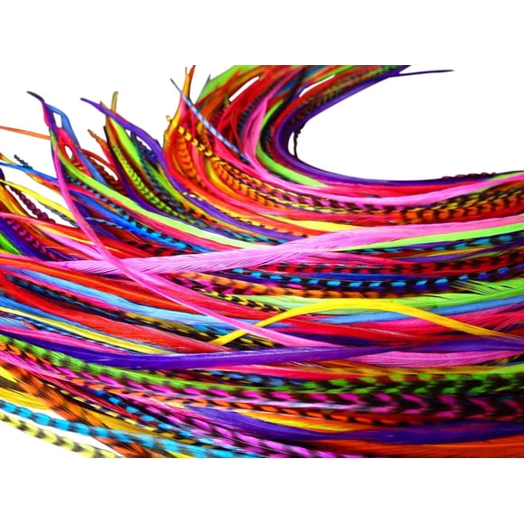 Feather Extensions de Cheveux en Plumes, 100 % Plumes de Coq Réelles, Longues Couleurs Arc-en-Ciel, 20 Plumes avec Perles Gratuites et Kit d'Outils en Boucle, Lily RAIN