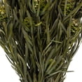 thumbnail image 3 of Vickerman 12" Green Salignum, Female, 7 oz Bundle, Preserved, 3 of 4