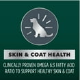 Iams Advanced Health Skin & Coat Chicken and Salmon Recipe Adult Dry