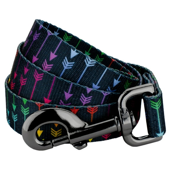 Country Brook Petz - 5/8 inch Colorful Arrows Gunmetal Dog Leash - 4 Foot