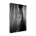 thumbnail image 4 of Trademark Fine Art 'Shy Eye' Canvas Art by Aledanda, 4 of 4
