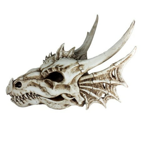 Pictures Dragon Wings - Ancient Jurassic Fossil Dinosaurs Agujaceratops Dragon Large Skull Head with Wing