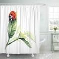 thumbnail image 1 of ABPHQTO Primavera negra acuarela mariquita dibujar insecto verde naturaleza belleza escarabajo brillante Bug baño cortina de ducha 165x180 cm ABPHQTO PKNMT66x72Shower-8998, 1 of 2