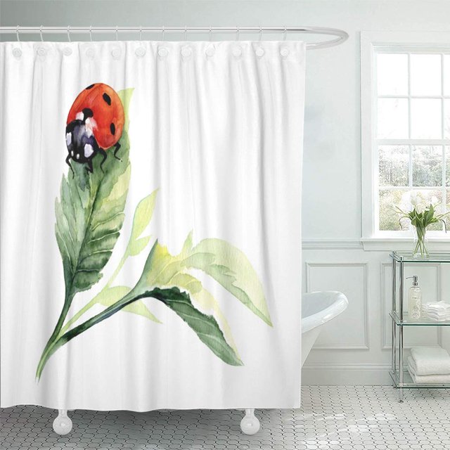 ABPHQTO Primavera negra acuarela mariquita dibujar insecto verde naturaleza belleza escarabajo brillante Bug baño cortina de ducha 165x180 cm ABPHQTO PKNMT66x72Shower-8998