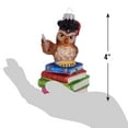 thumbnail image 2 of Christmas By Krebs Blown Glass  Collectible Tree Ornaments  (4" Owl Teacher), 2 of 8