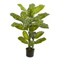 thumbnail image 1 of Plante de Dieffenbachia de 4 Po (Real Touch), 1 of 3