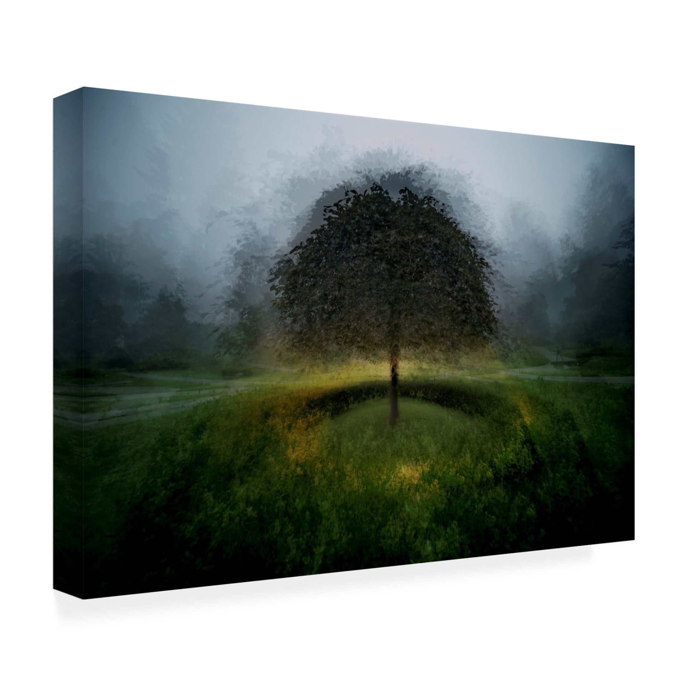Canvas Wall Art - Katarina Holmstrom 'Eden Place' Wall Art for Living Room, Bedroom, or Office Décor by Trademark Fine Art - 19 x 12 Inches