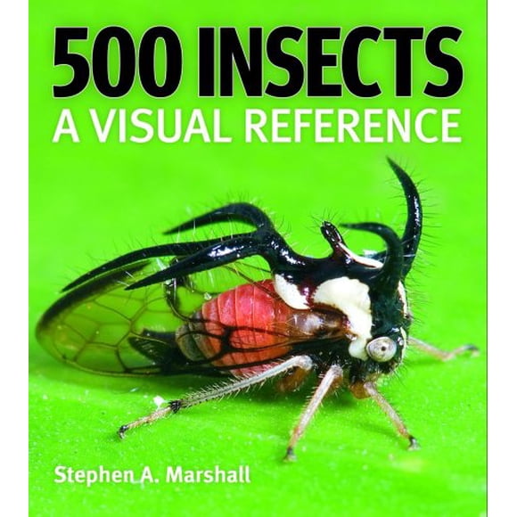 500 Insects: A Visual Reference