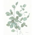 thumbnail image 3 of Nai, Danhui 12x14 Black Modern Framed Museum Art Print Titled - Transparent Leaves Eucalyptus, 3 of 5