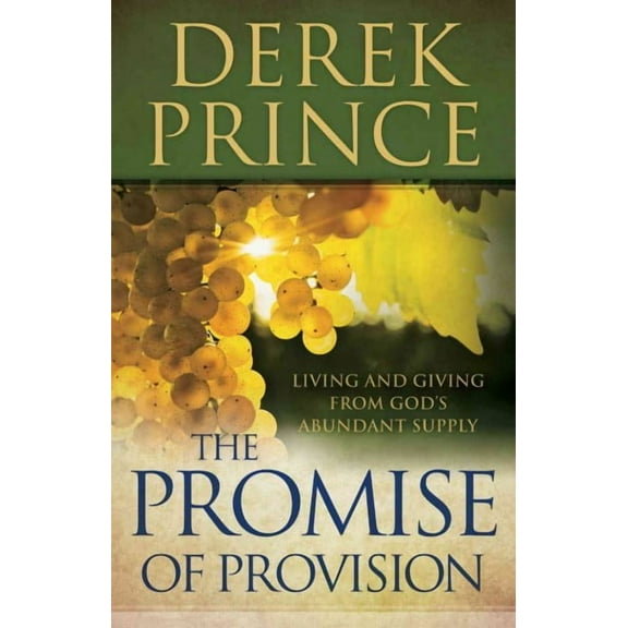 Promise of Provision (Paperback)