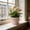 121#PinkFree Size, variant on Faux Ceramic Flower Pot, 9 Inch Plastic Planter for Home Decor, Baihua Series Gardening Pot with Tray, Lightweight Durable Container for Indoor Outdoor Plants