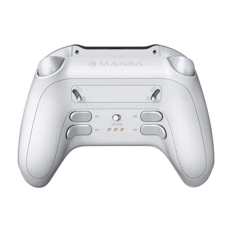 Wireless Gaming Controller for PC/Switch/iOS/Android/Steam, RGB
