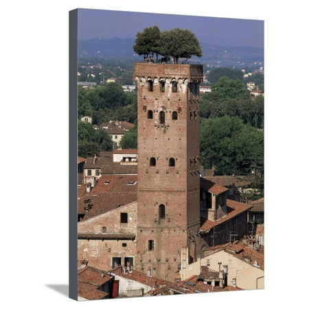 Tour Des Guinigi, Lucca, Tuscany, Italy Stretched Canvas Print Wall Art By Bruno