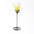 thumbnail image 2 of 3Pcs Air Stand Airplant Container Spiral Flower Stand Tillandsia Stand Holder Display Racks Garden Office Home Decoration ( Black ), 2 of 7