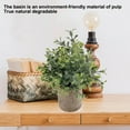 thumbnail image 3 of Mini ceramic flowerpot simulation plant 3-piece indoor simulation plant, 3 of 5