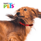 thumbnail image 2 of COLLAR MED C/ULTRA GRIP Y BANDAS REFLEJANTES ROJO Fancy Pets MED, 2 of 2