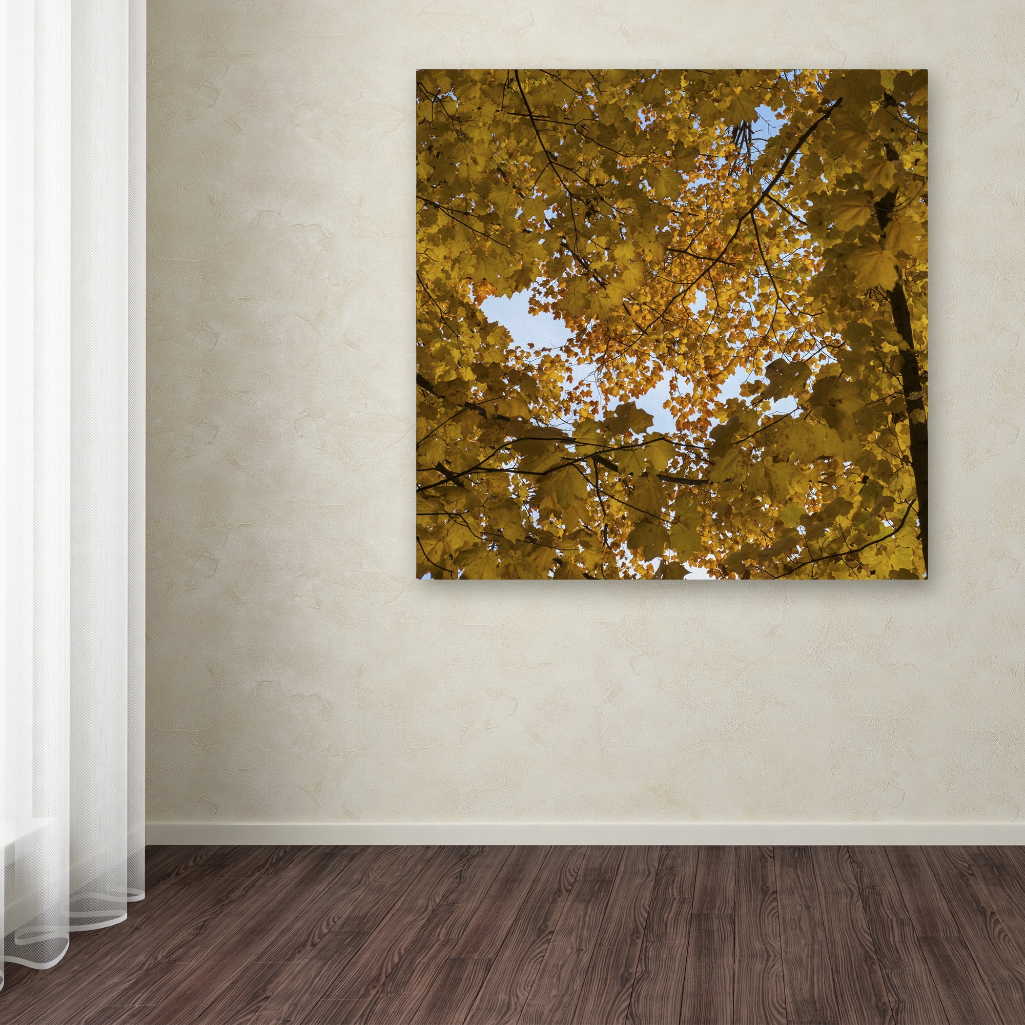 Trademark Fine Art "Golden Canopy of Autumn" Canvas Art by Kurt Shaffer