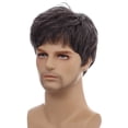thumbnail image 3 of Perruques pour Hommes Perruques à Cheveux Courts Perruque en Cheveux Synthétiques Aspect Naturel Perruque en Fibre Résistante à la Chaleur Remplacement de Cheveux Extensions Perruques, 3 of 6